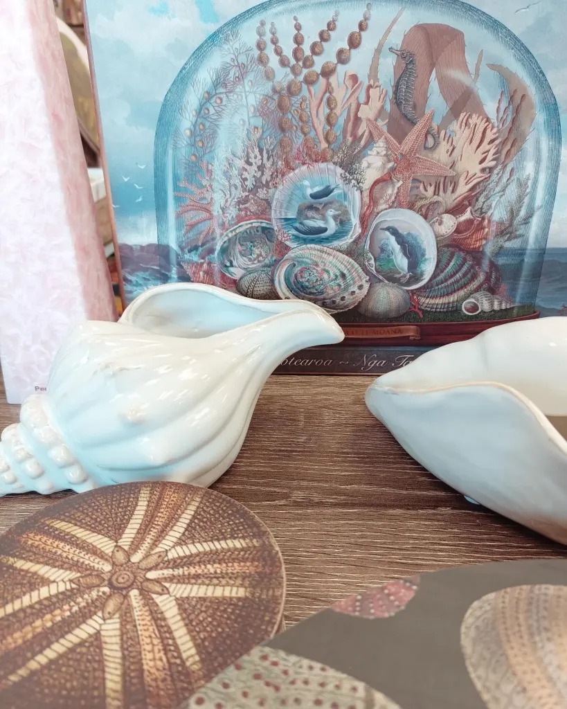 imgi_120_431758403_928614815941067_1980571056676755432_n