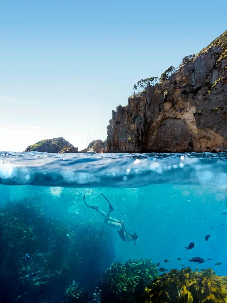 20368984_10159216566125128_7139180096614818786_o