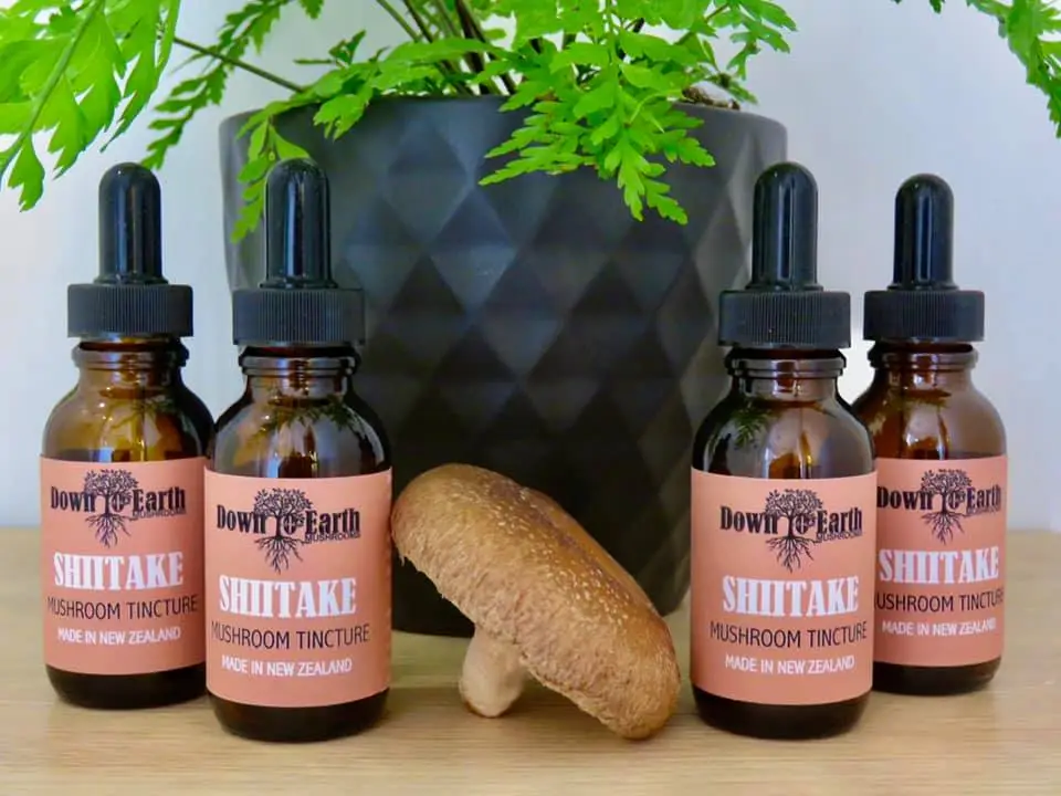 240106119_857747318208753_5658830917504612776_n