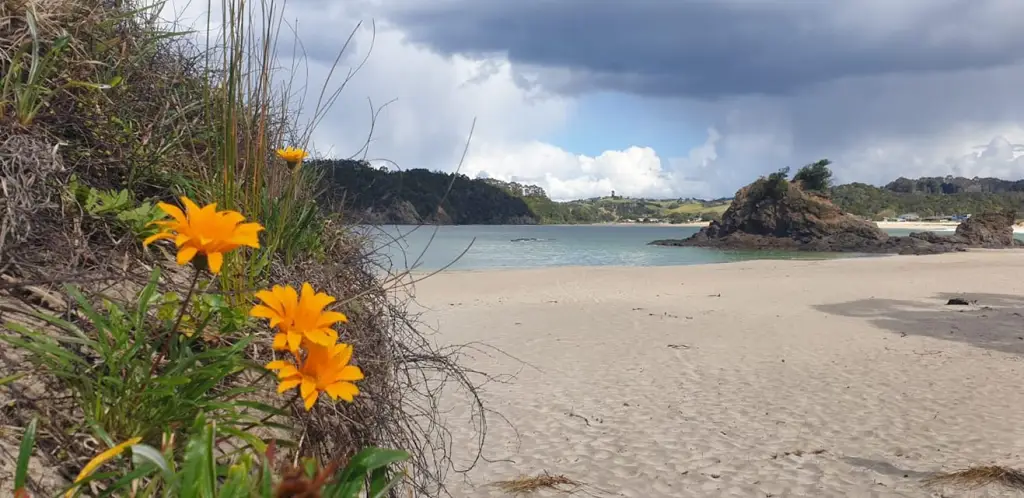 244759264_375095164308303_4872888031888078177_n