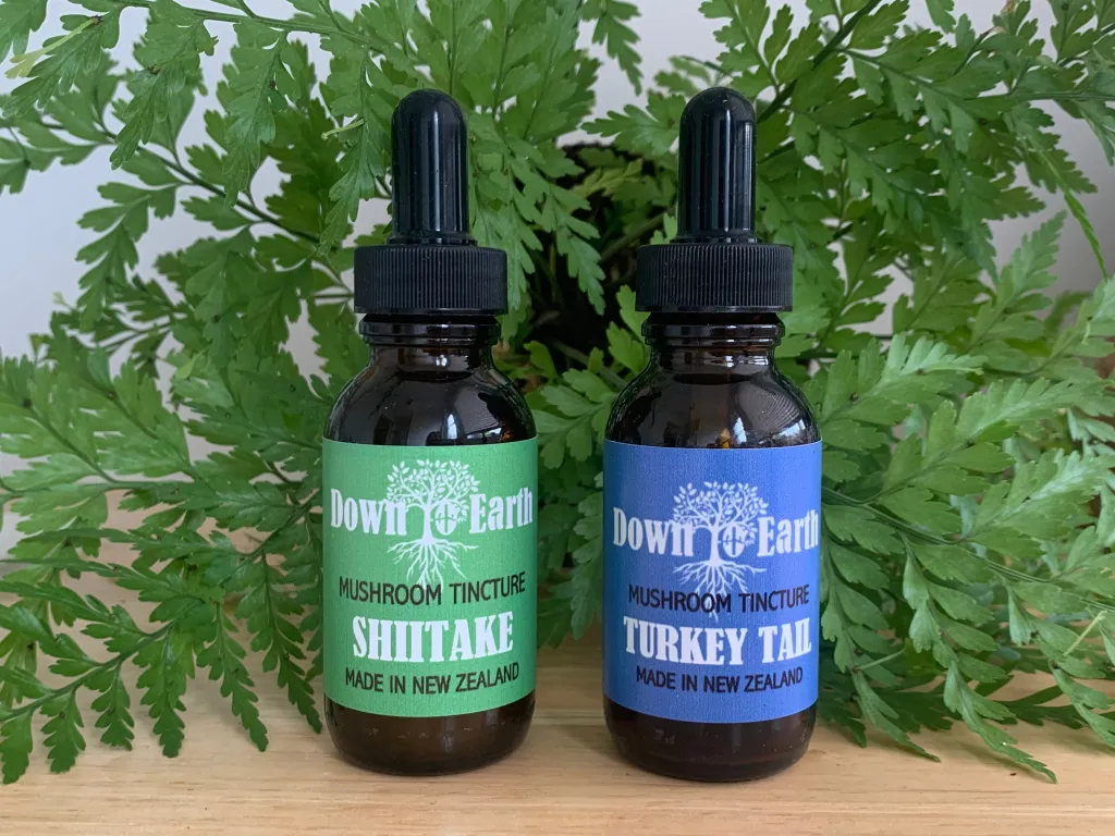 273877640_960914747892009_2991728812198188148_n