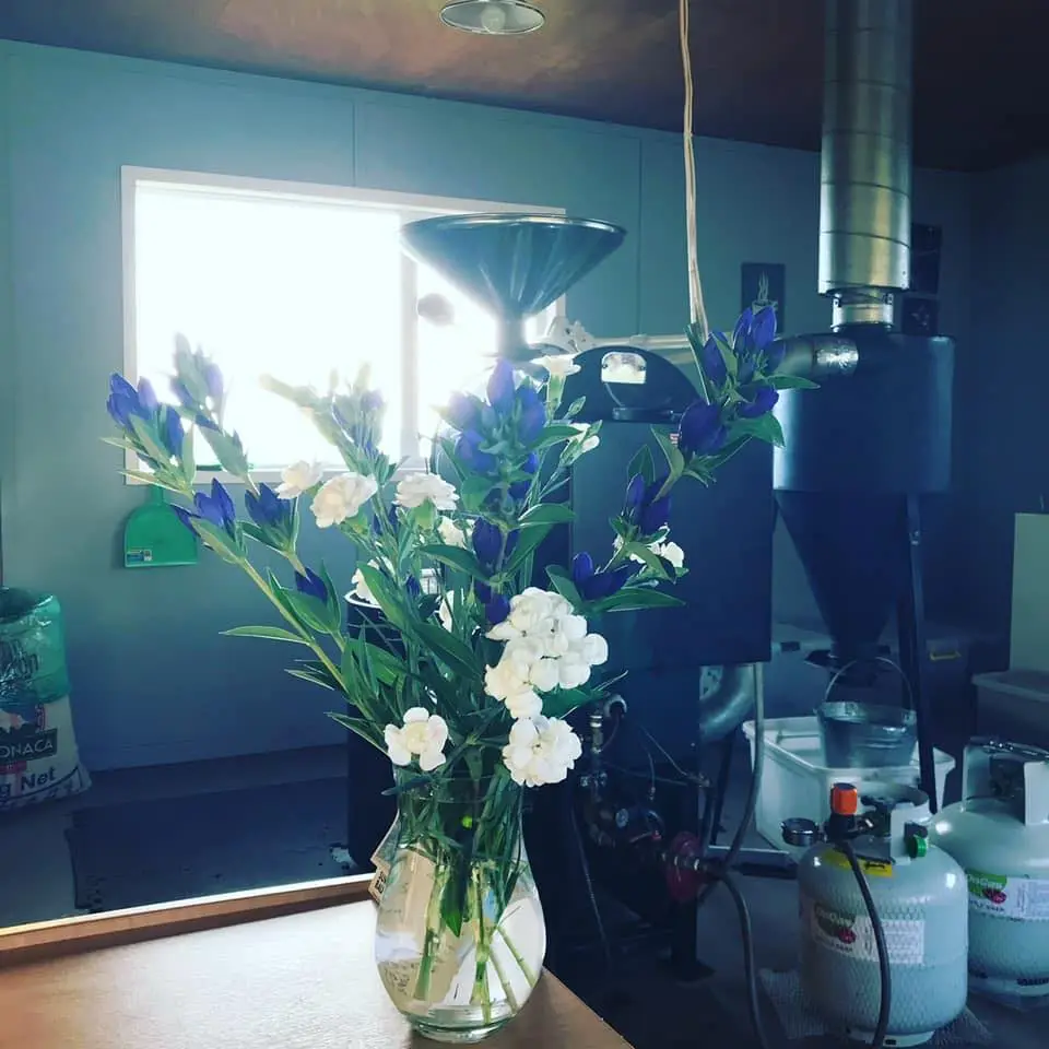 298835596_579713773848733_7732578077267648661_n