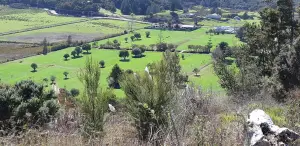 299323381_526558689273801_3315960723929073390_n-300×146