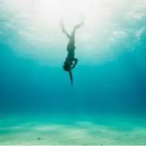 299808951_575070990992455_7086661911565813108_n-300×300