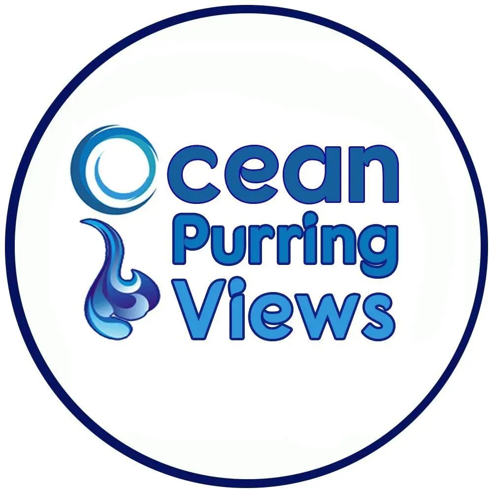 304804933_517269717066650_9097742817516001606_n