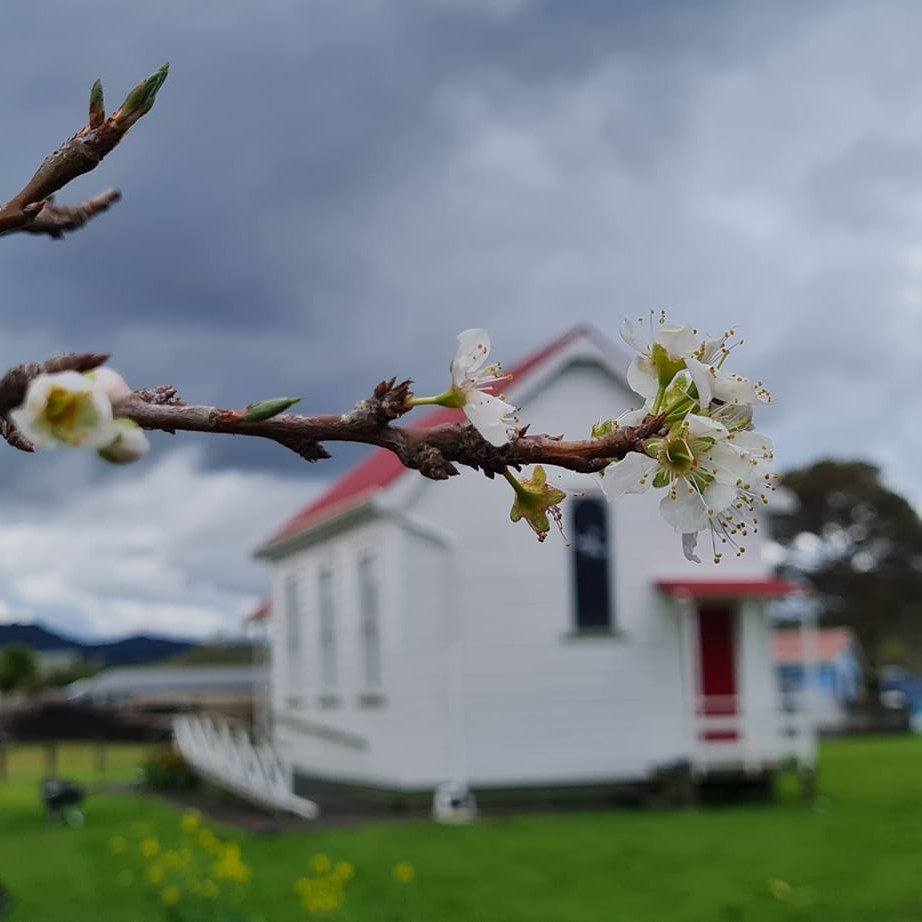 334277324_963226188387495_4058071361095026084_n