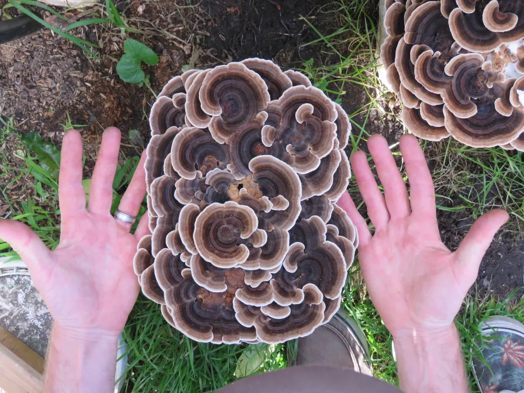 357114078_1266711450645669_3153593579540481655_n