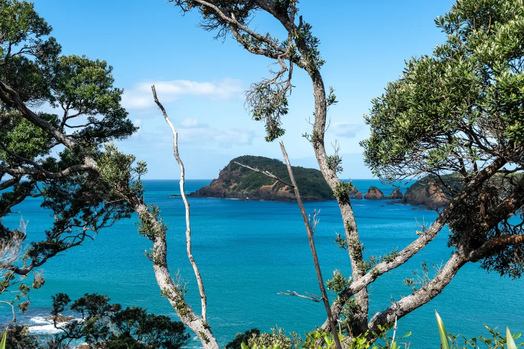 357730957_734597441800655_857710819869430867_n