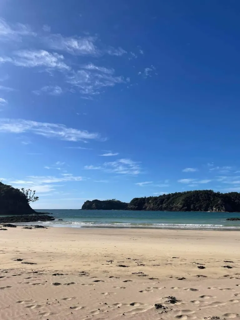 387087680_637697375184785_9130108838147629367_n