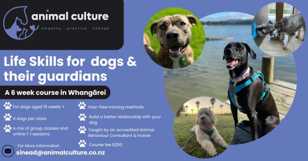 395584173_314878047957680_2553604672388354435_n