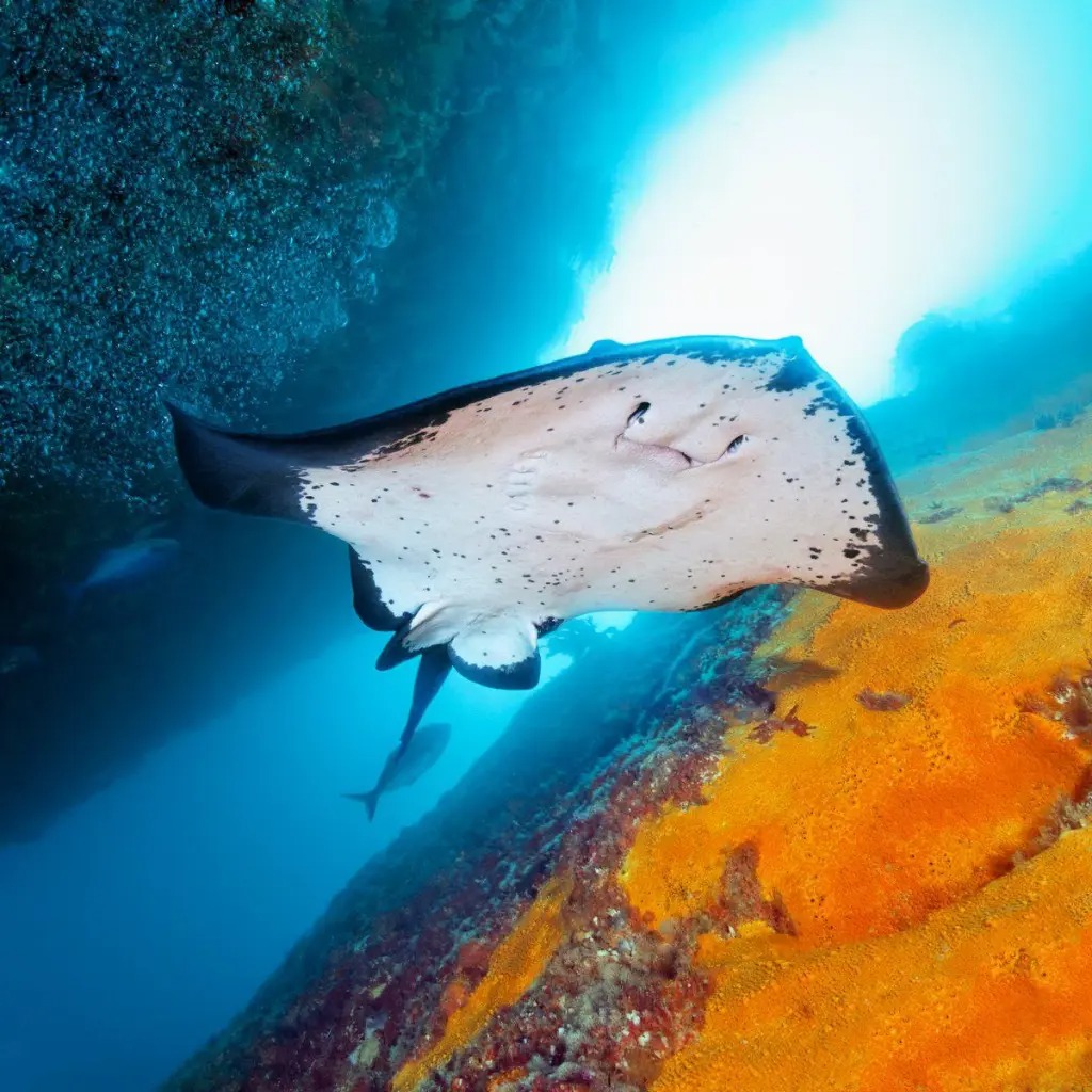 414882_10151392541525128_1162154604_o