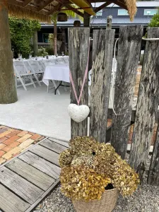 419803438_683857770600783_7012239000066214840_n-225×300