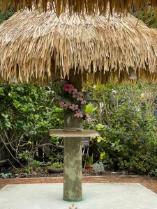 419921939_683858227267404_6236865737534725947_n-225×300