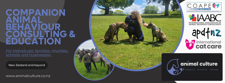 434677454_403674432411374_5794684618561721284_n