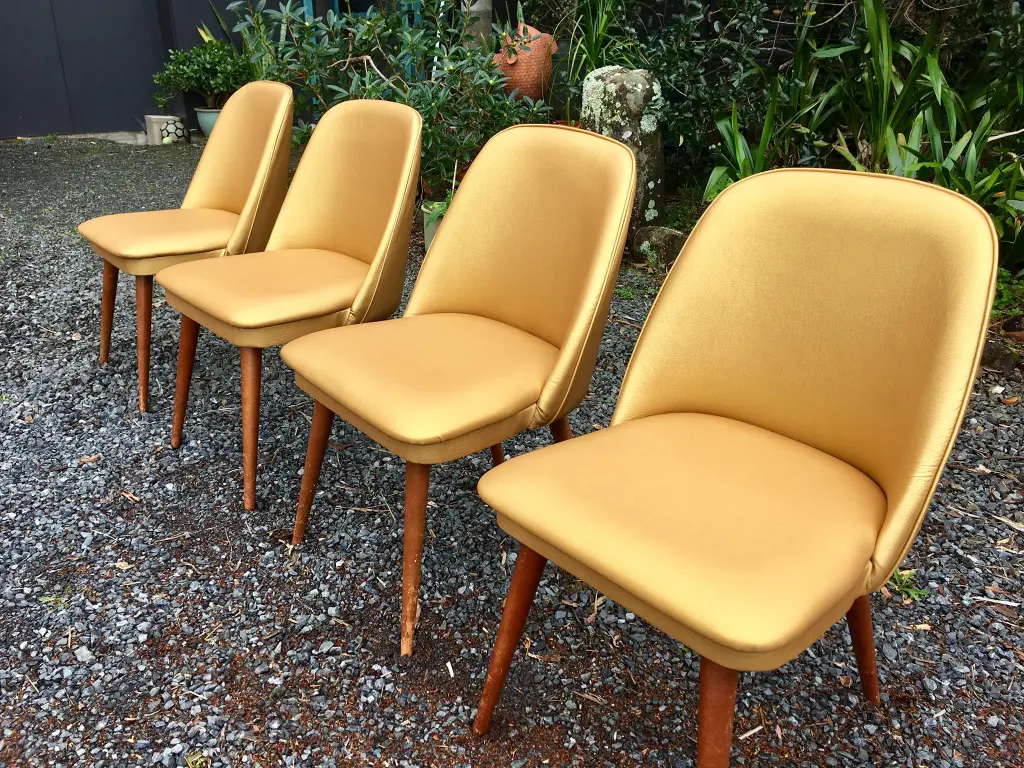 43524462_2172103916412502_7614951039845793792_n