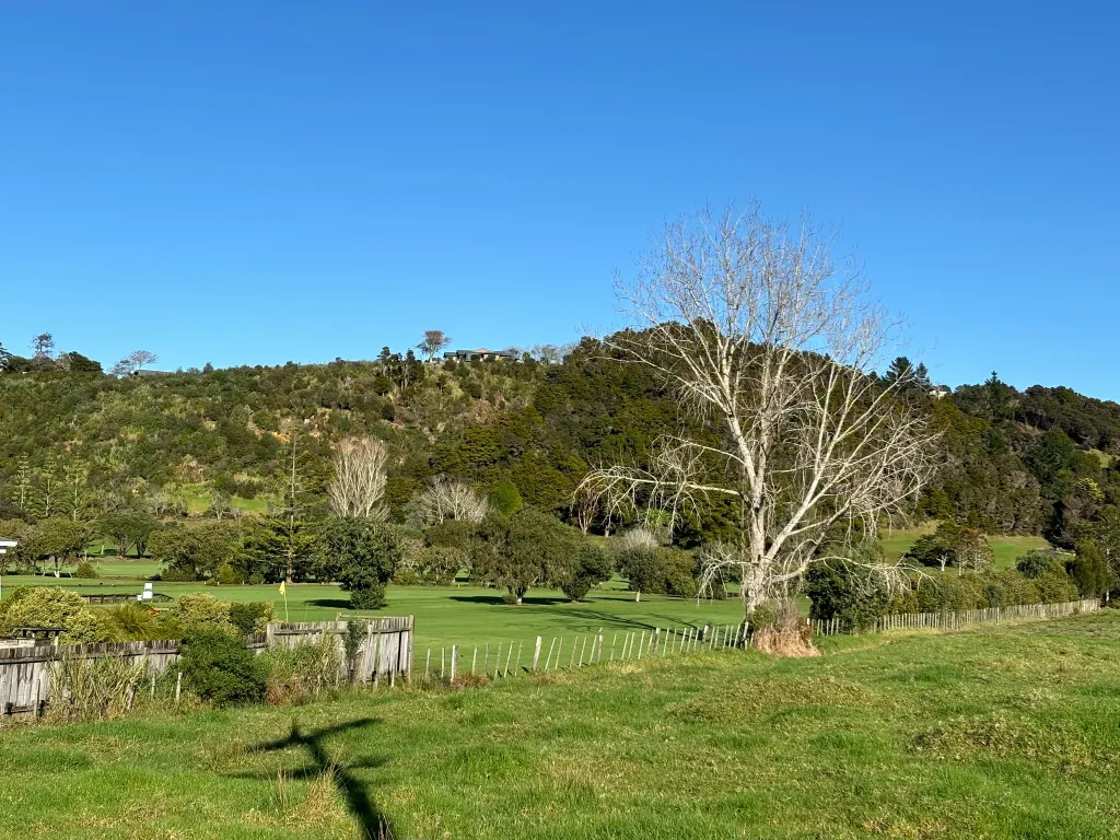 450087627_787922770208382_357104754073209491_n