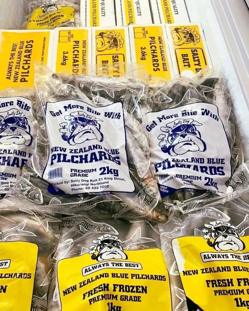 461958922_1048108600346198_6793704063606401931_n