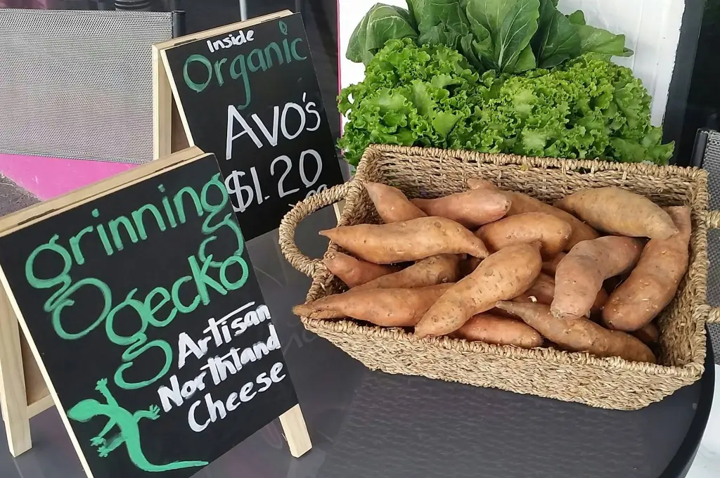 464690330_8586422574798060_5563459470189538324_n