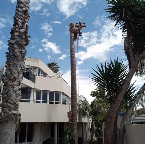 465871891_122165674802249579_4662301563965020039_n