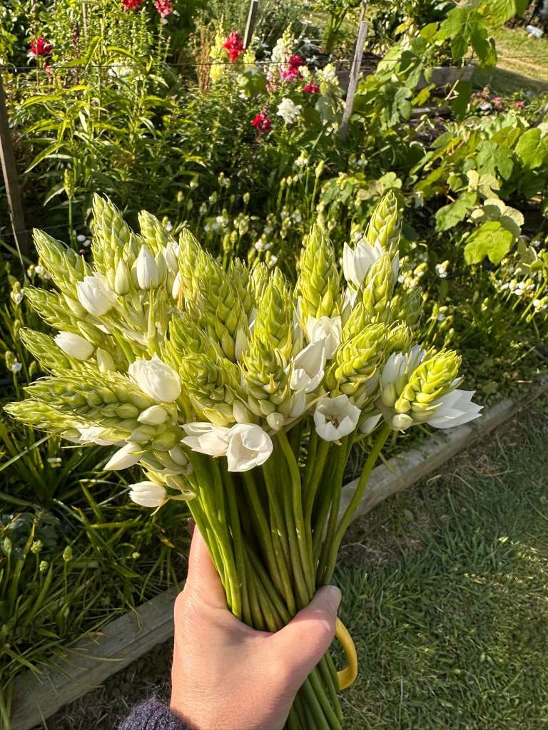 493316291_1329091982166689_7996310351635014494_n