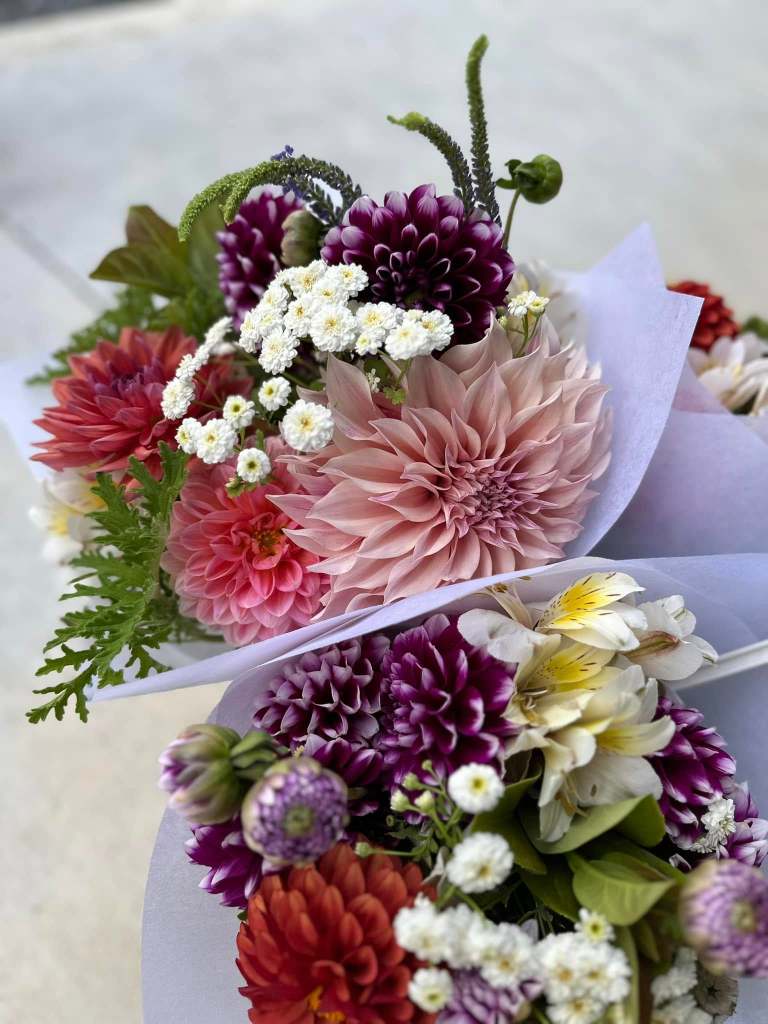 493719738_1330418545367366_4386817206188574004_n