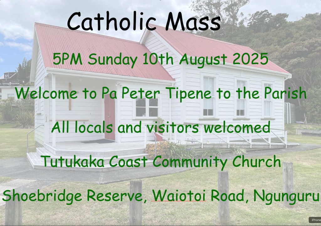 528798538_773695345188826_494584698945640659_n(1)