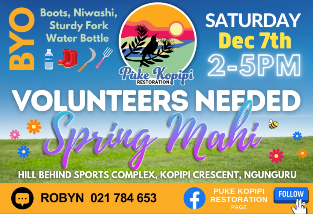 Screenshot-2024-11-14-at-8.36.47 PM