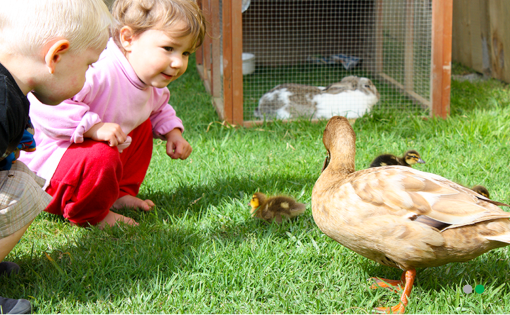 Screenshot-2024-12-04-at-5.40.44 PM