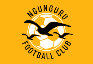 Ngunguru Football Club