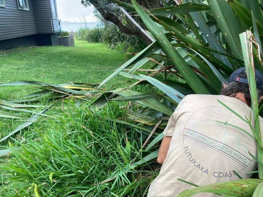 imgi_101_460565098_521323553818592_3548133683681726335_n