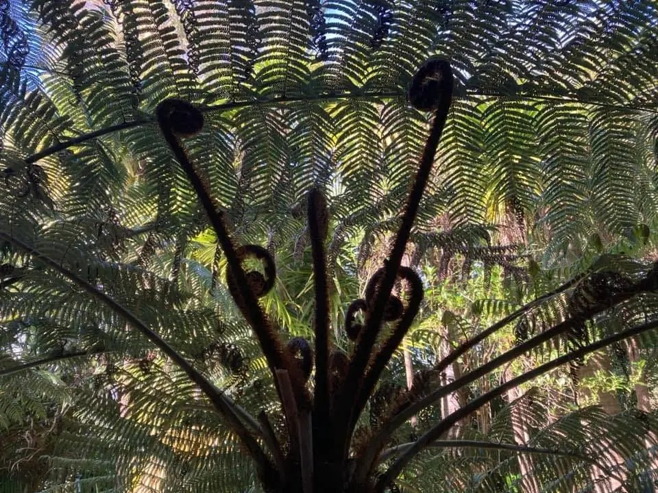 imgi_102_465974167_566282255981290_3339187074842648692_n