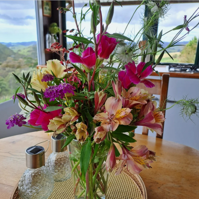 imgi_96_Screenshot-2025-01-02-at-12.51.53 PM