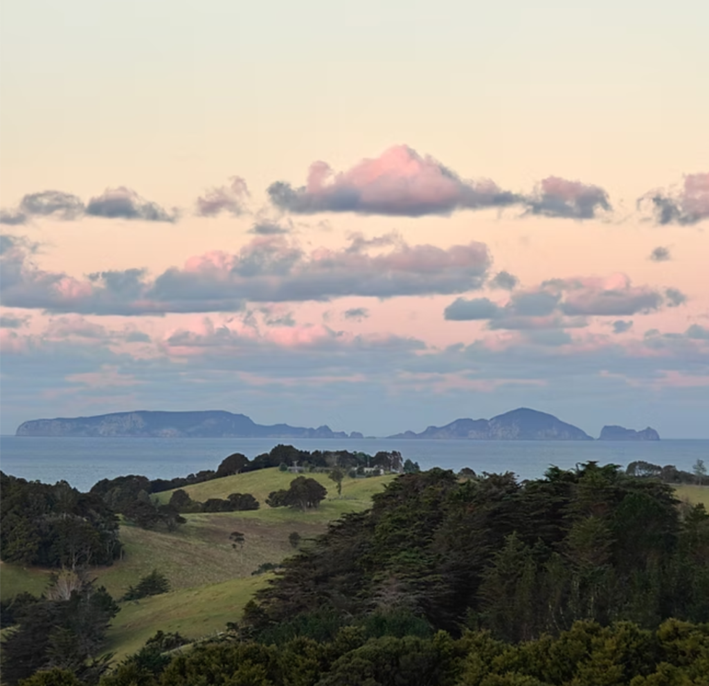 imgi_9_Screenshot-2024-12-01-at-9.00.48 AM