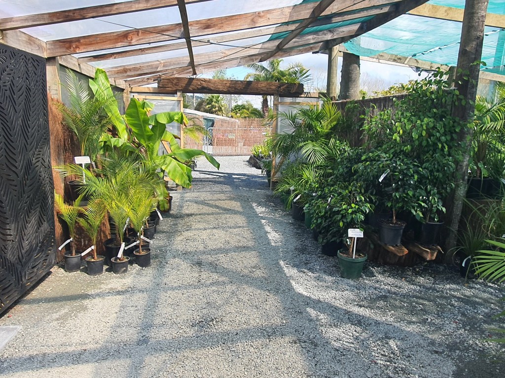 556433966_122094940353057449_9052883127625018996_n