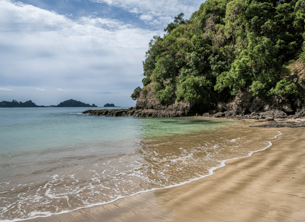 Tauwhara Bay, Whananaki