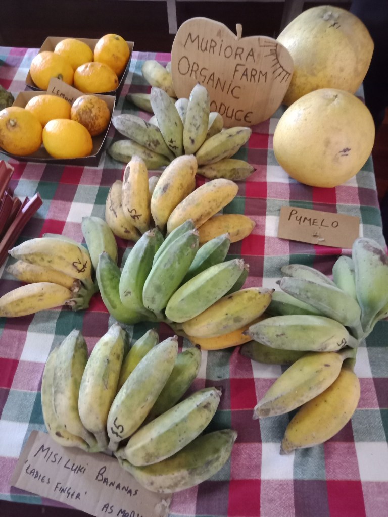 599960872_10166535091648047_2875805023592703532_n