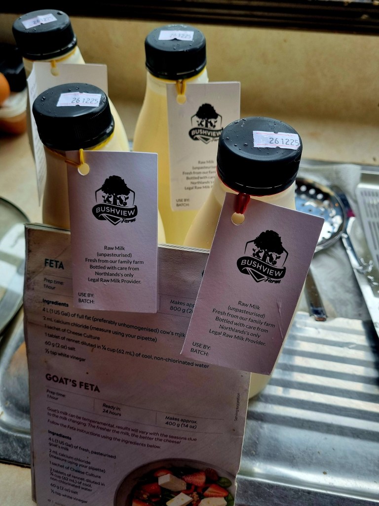 602379700_1252237723595973_3103835139152800416_n