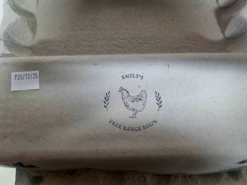 605369310_1253582600128152_501904398088871376_n