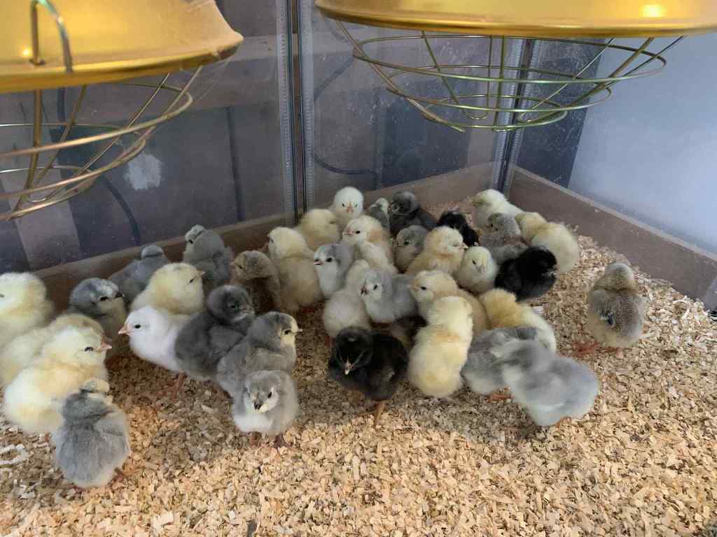 607508244_122186400644377884_2668814074121082177_n