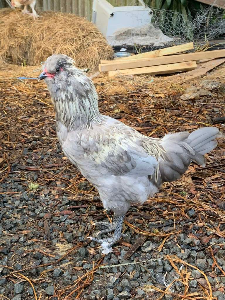 608120595_122186402318377884_8240142787059659577_n