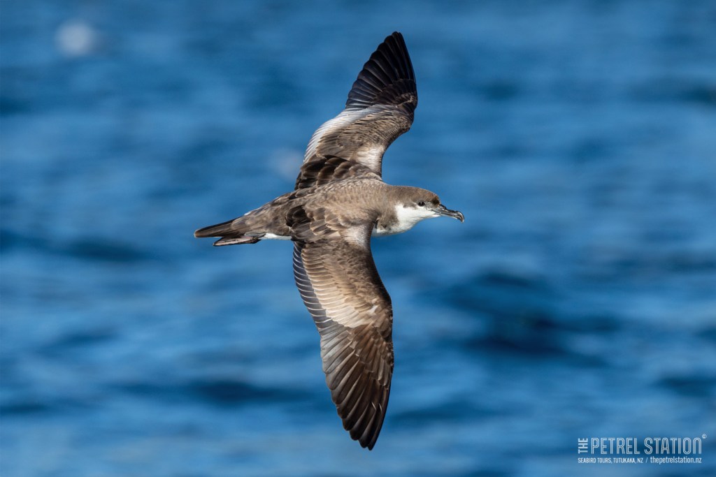 613538450_893849039852328_4977670948637148763_n