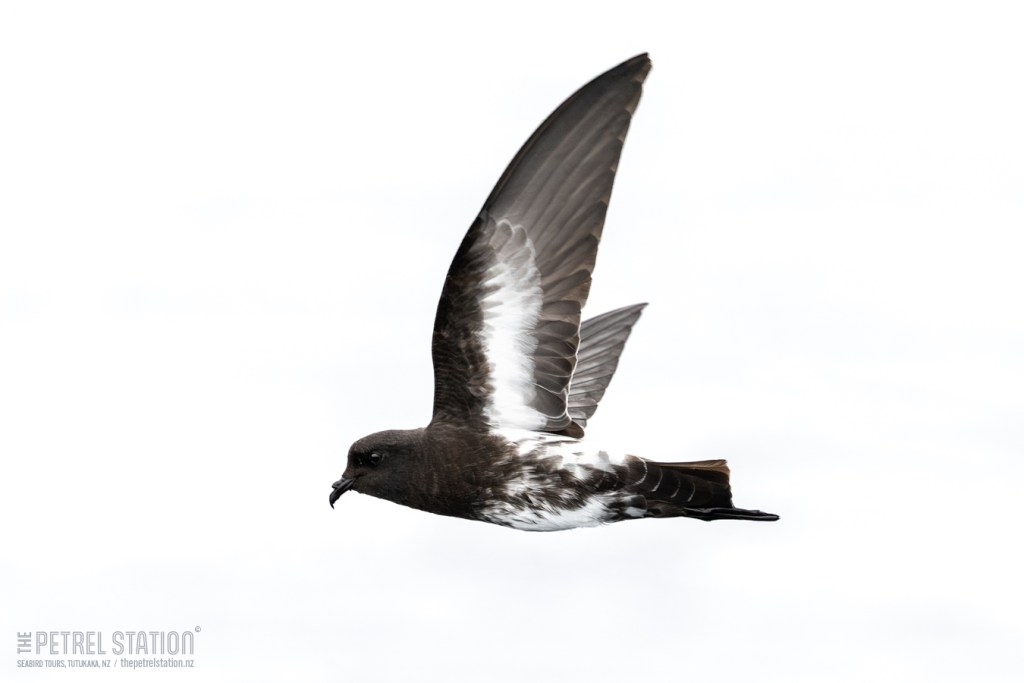 613658026_893844116519487_822071295722885086_n