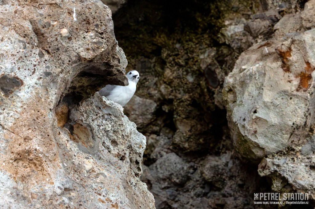 614238844_893844119852820_934266970084477004_n