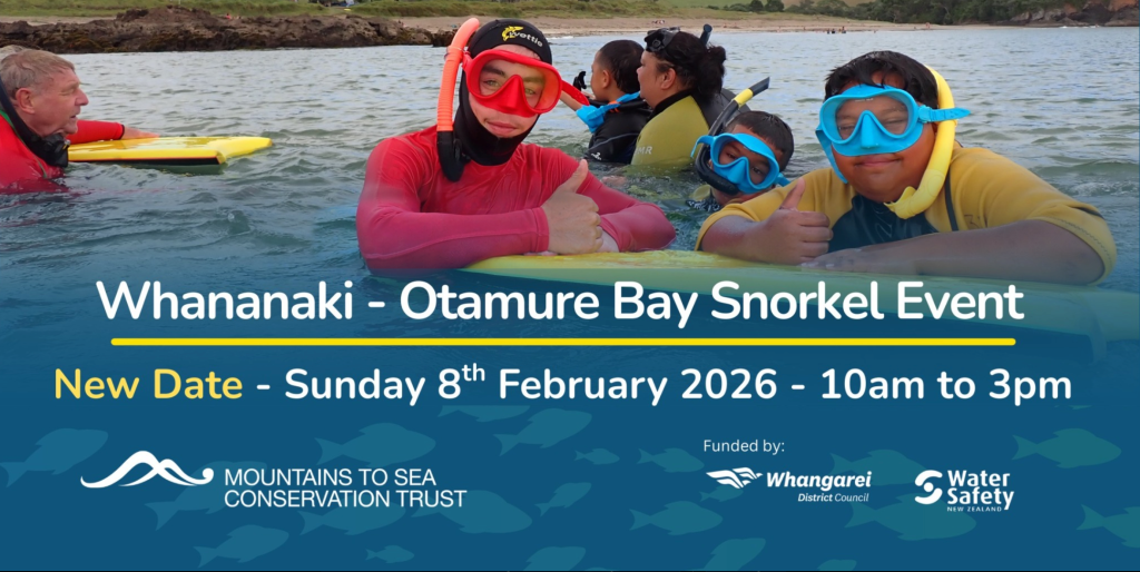 Whananaki Snorkel Day