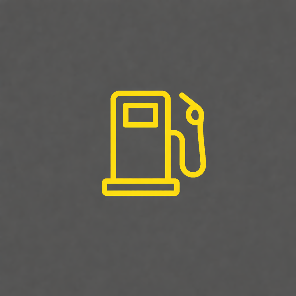 Petrol Crisis New Zealand