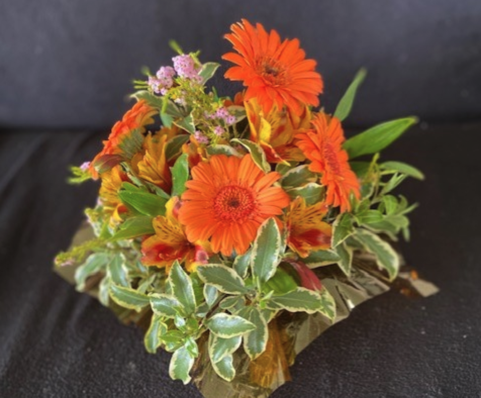 Screenshot 2026-04-17 at 8.13.01 PM